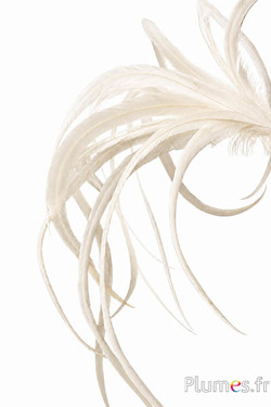 Haan - 42-50 cm - wit-creme natuurlijk